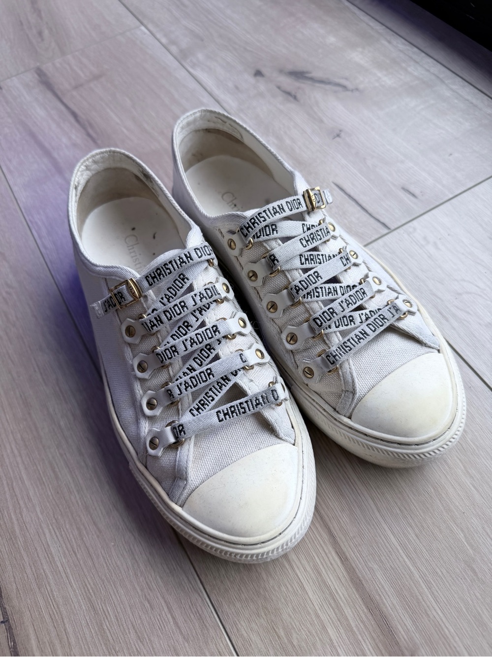 Christian Dior Walk N Dior Canvas J'Adior Low Top Sneakers